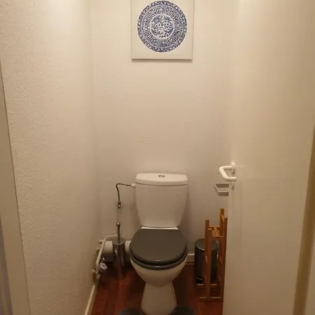 Le Petit Flocon Apartment Colmar